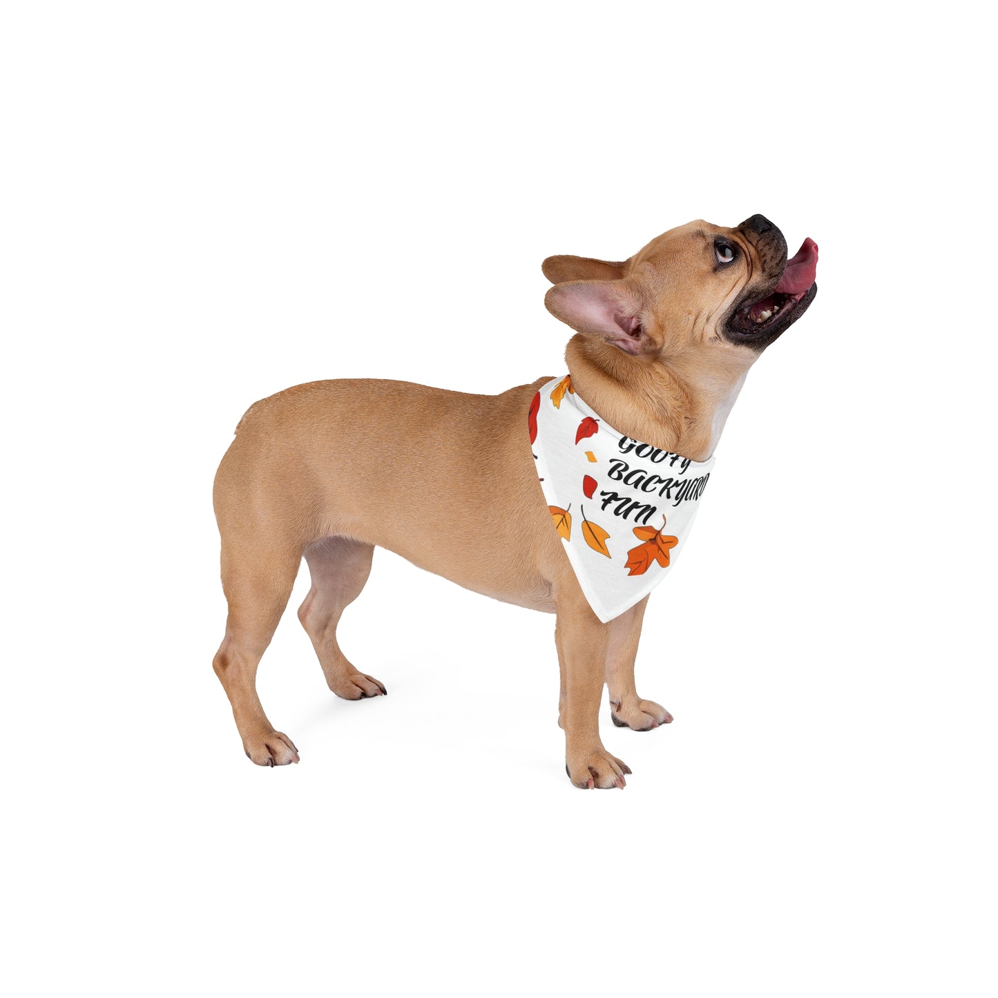 Goofy Backyard Fun Pet Bandana