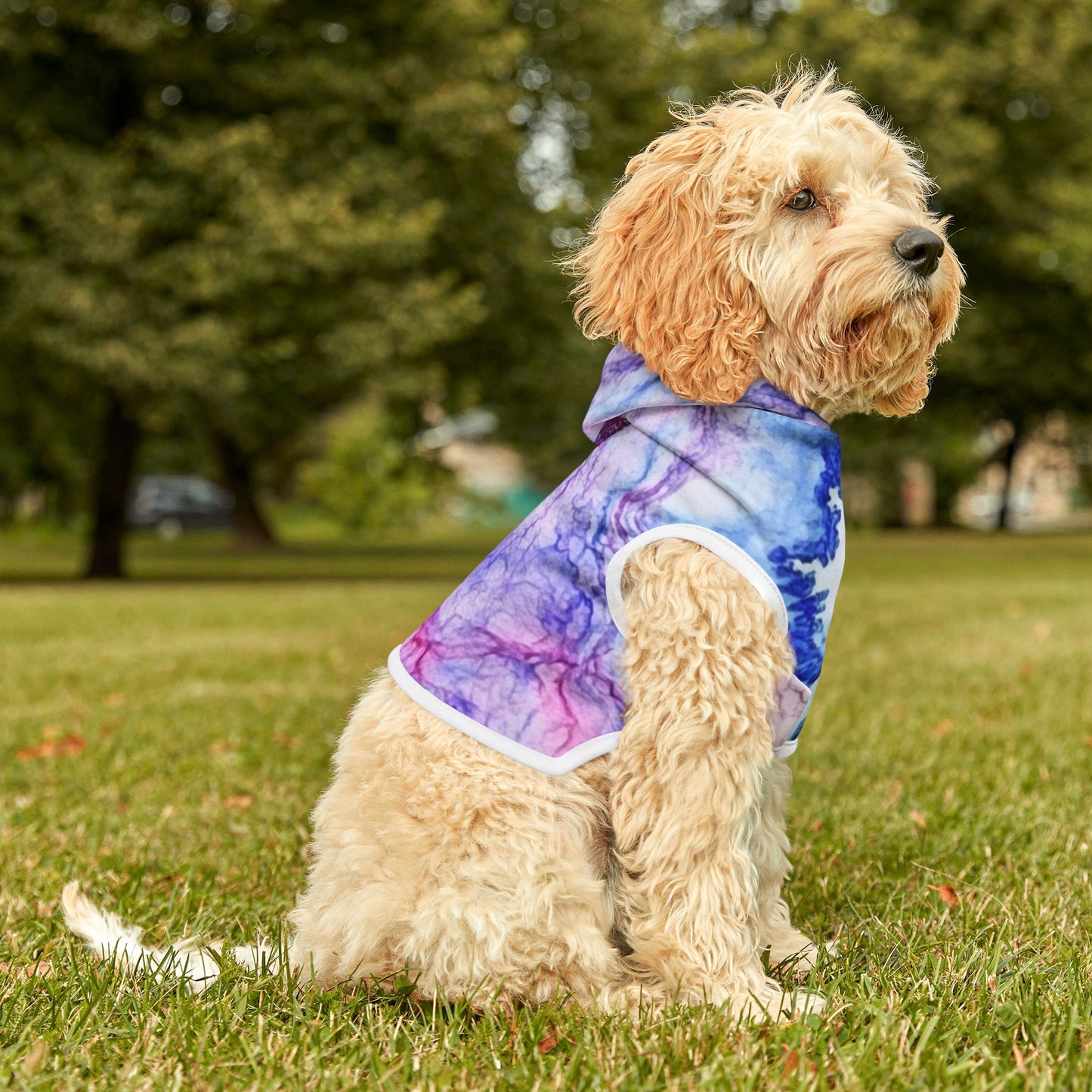 Pink & Blue Cozy Dog Cat Sweatshirt