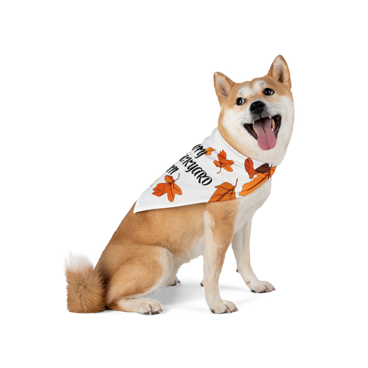 Goofy Backyard Fun Pet Bandana